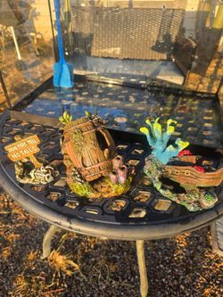 20 gallon fish tank