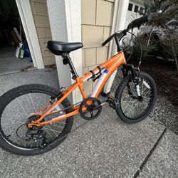 Diamondback Cobra 20 Youth Bike for Sale in Bothell WA OfferUp