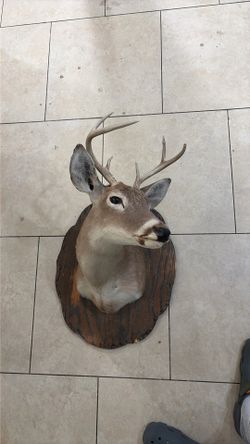Home decoration deer head
