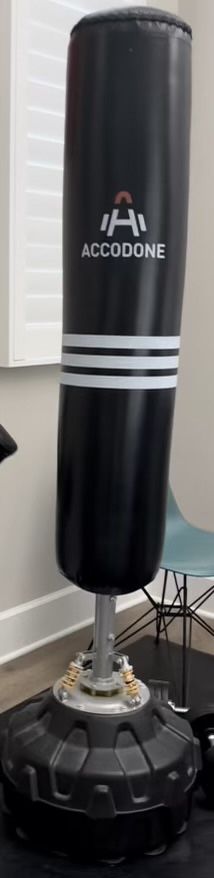 Accolade Punching Bag And Gloves