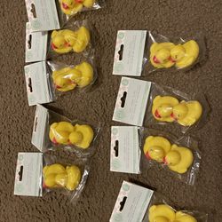 Bundle Of Mini Ducks