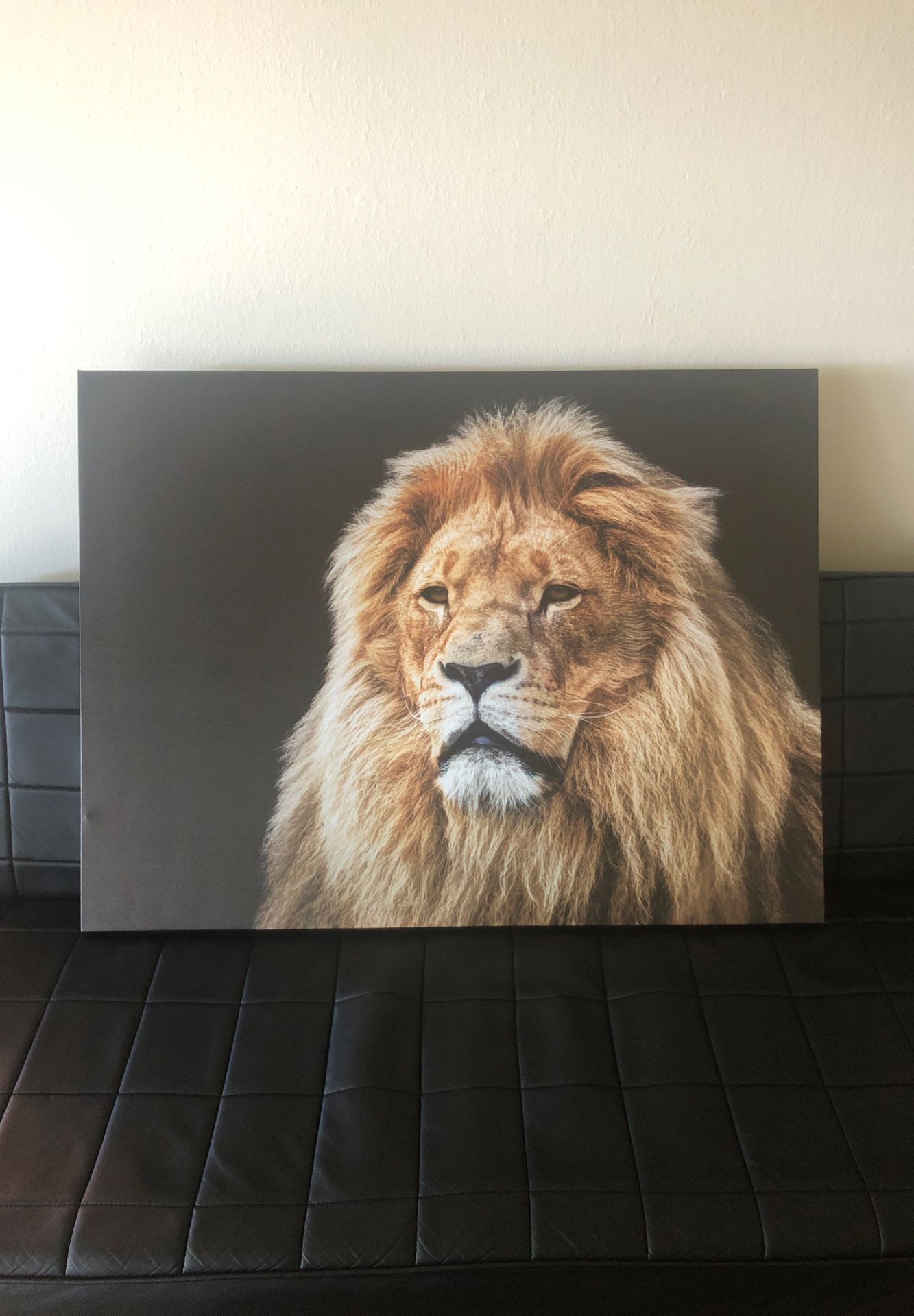 Alpha Male Lion canvas