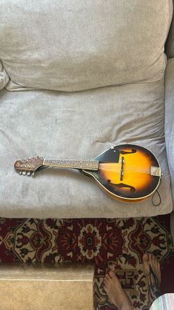 Rogue mandolin