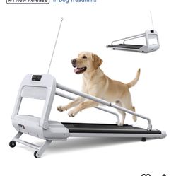 Dog Treadmill  