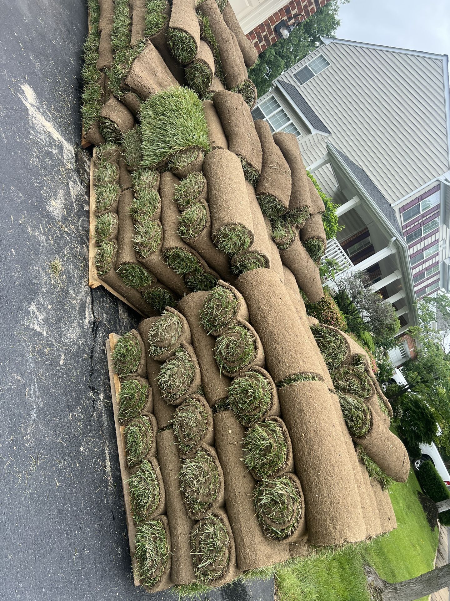 nice fresh sod