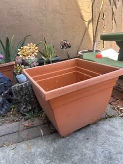 Large Planter Box