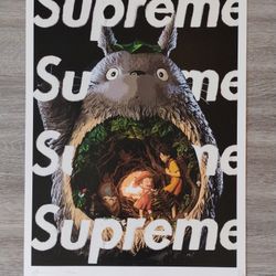 Death NYC Supreme My Neighbor Totoro