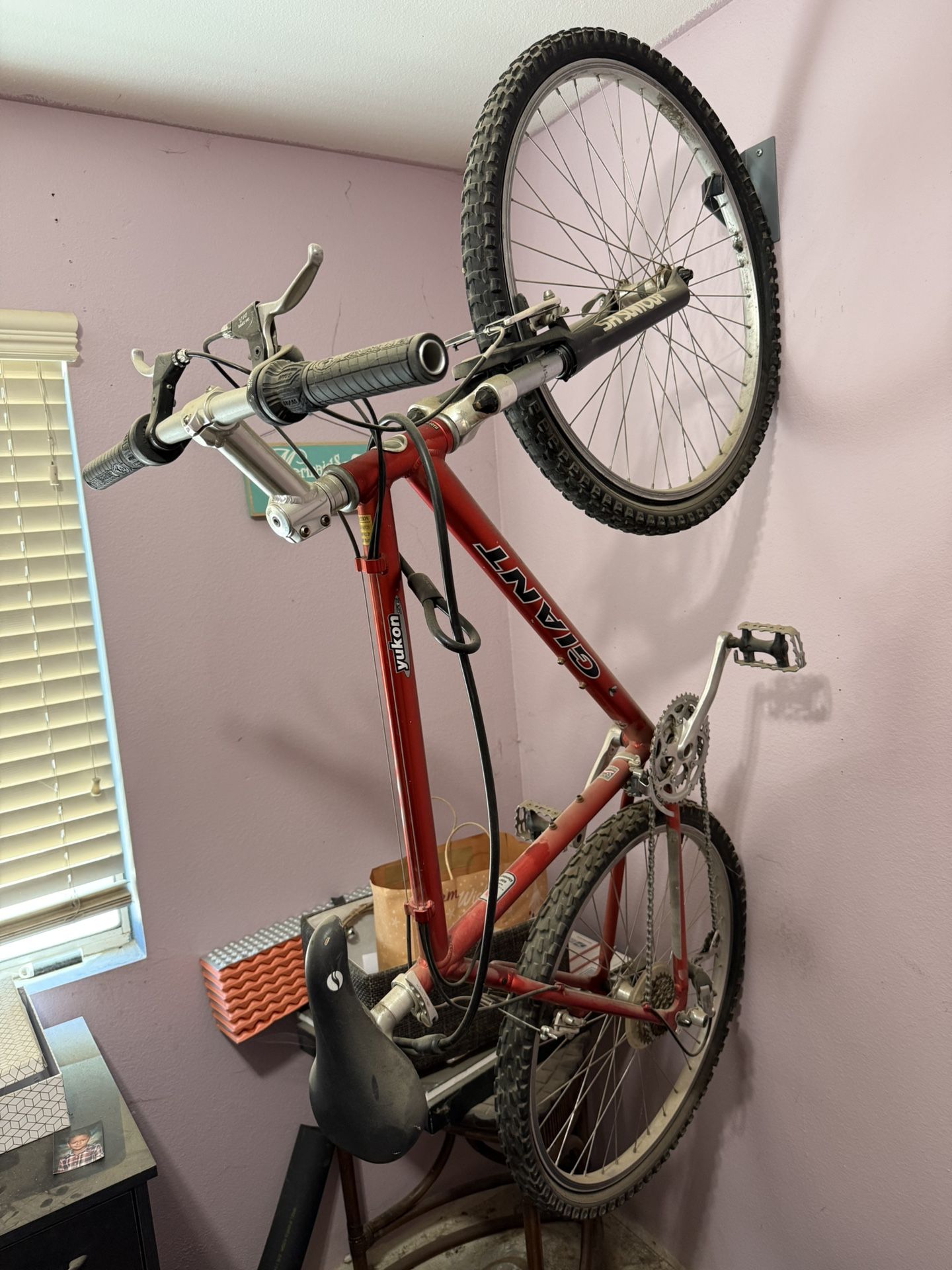 Mountain Bike - $75