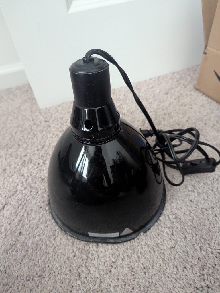 Light Fixture For Pets