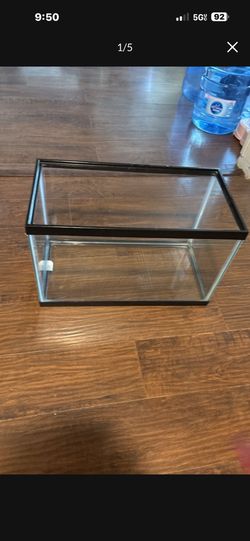 10 Gallon Terrarium With Supplies.