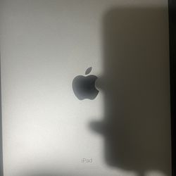 iPad 23.2