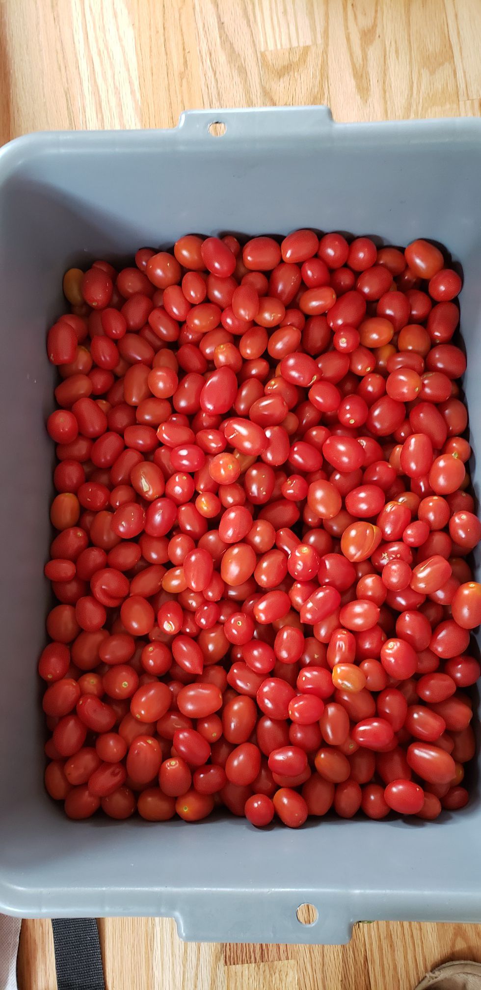 Organic SWEET GRAPE tomatoes