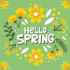 Hello Spring 🌻