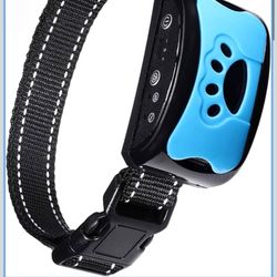 Dog Training Collar