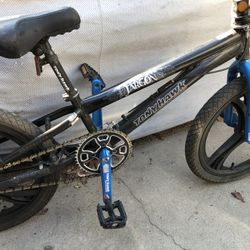 Tony Hawk Custom BMX Bike New Mag Wheels 