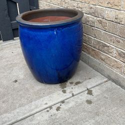 Garden Blue Pot