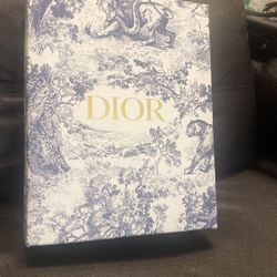 Dior Handbag 