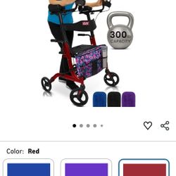 Vive Mobility-Upright Walker