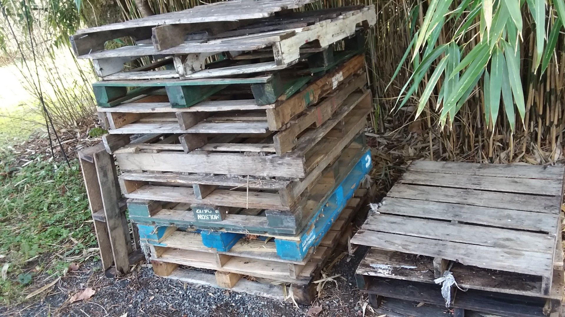 16 pallets FREE!