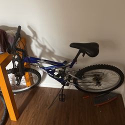 Next bicycle 