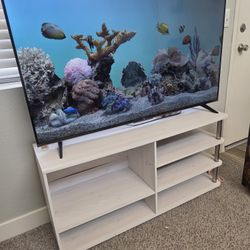 55' TCL-ROKU TV