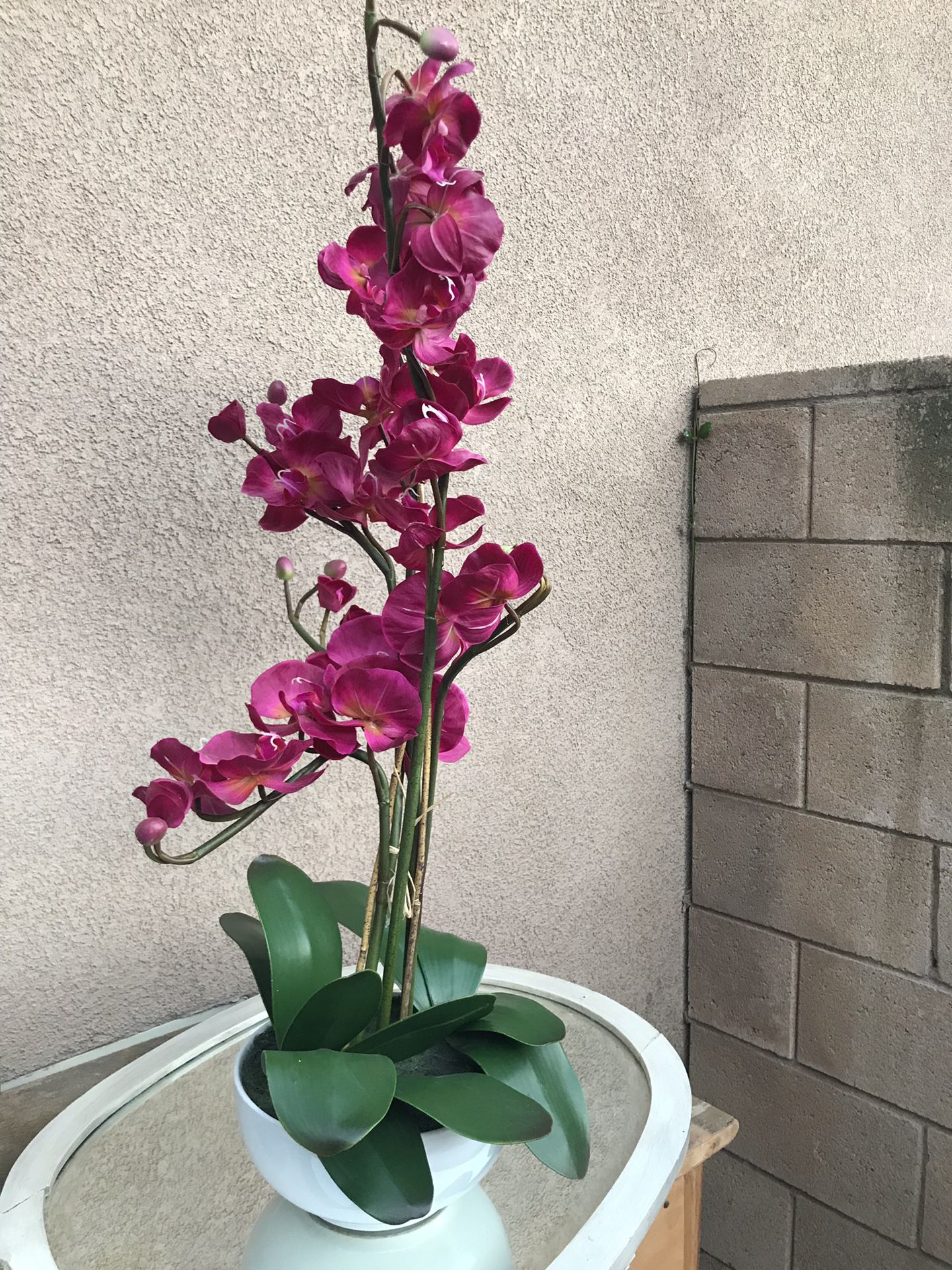 Large faux orchid plant