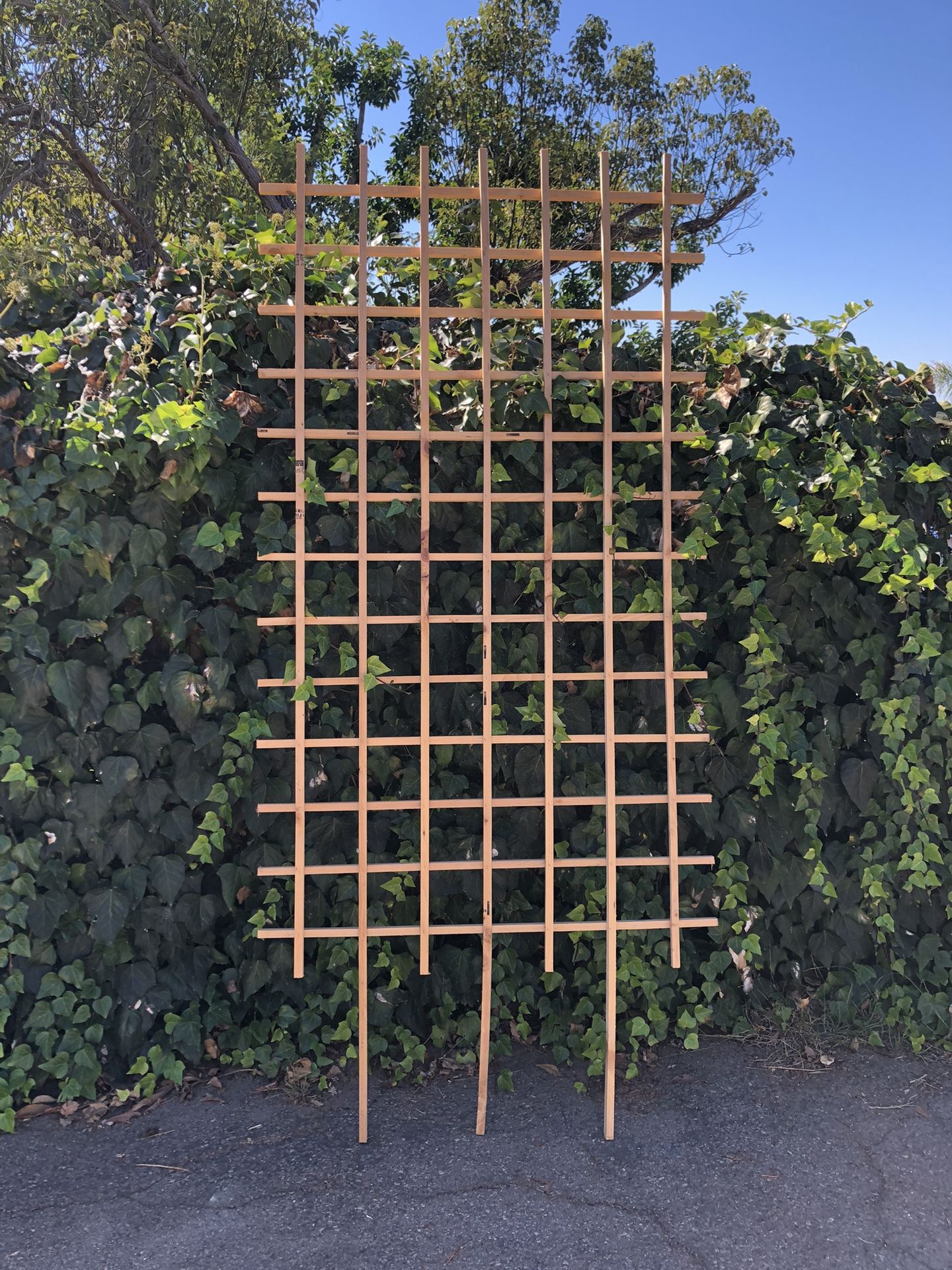Trellis NEW 38”x68”