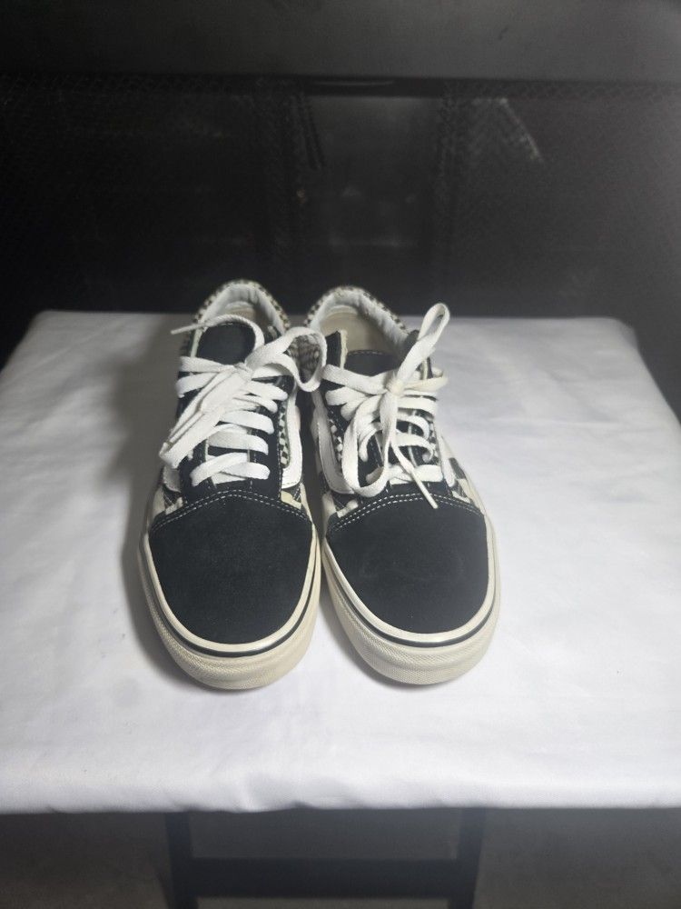 Vans Skateboard Shoes