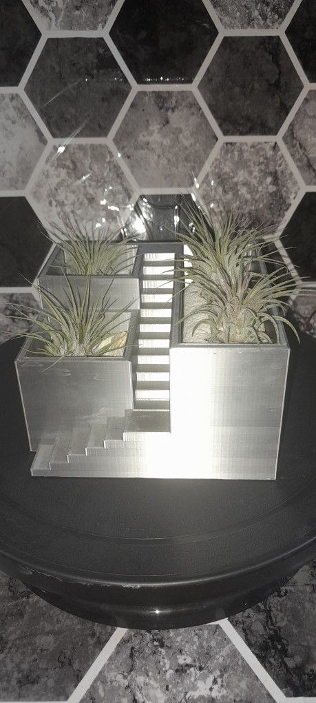 Tabletop Airplant Garden