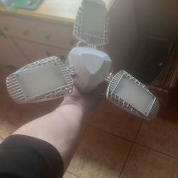 Security Light