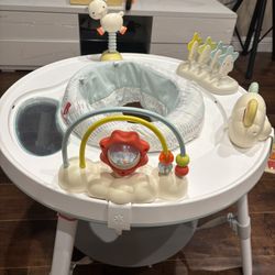 Skip Hop Activity Center