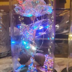 GALAXY  ROSE 🌹  GLASS DOME