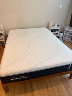 Tempurpedic ProAdapt Medium Queen (w/bedframe)