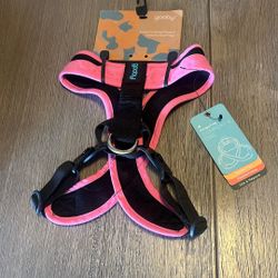 Size Large Harness