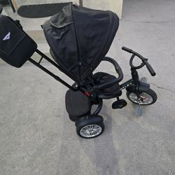 Bentley Tricycle