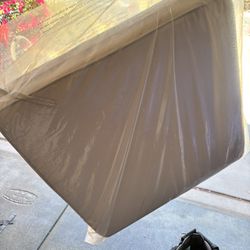 Couch Cushion