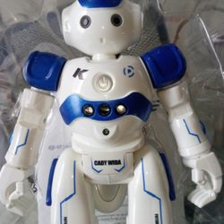 Rc Robot 