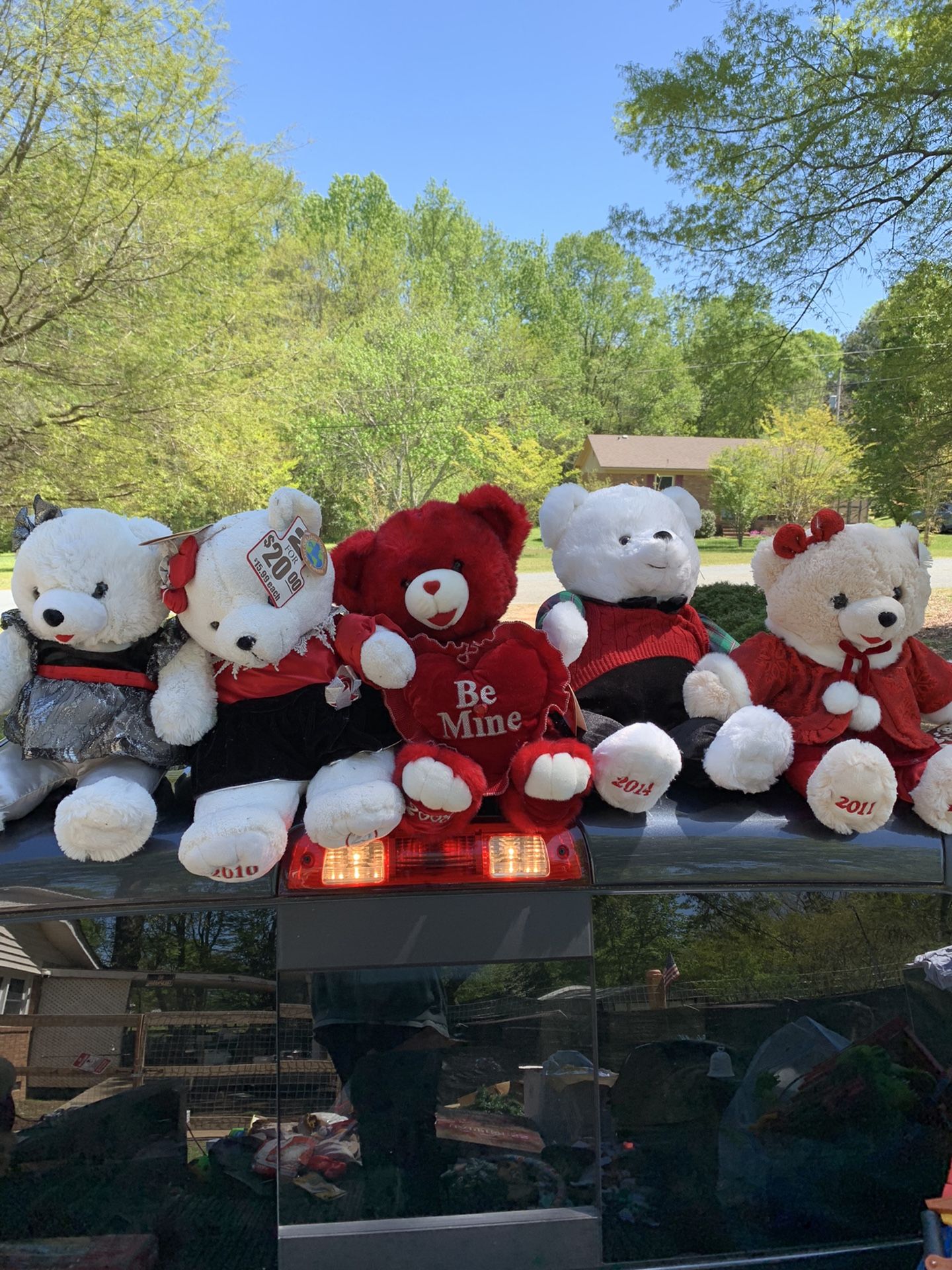 Teddy Bears