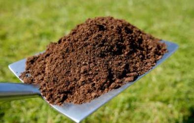 Black Gold Organic Rich Soil