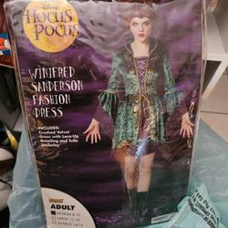 Winifred Sanderson Costume