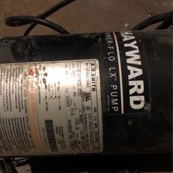 Pool Or Spa Pump 
