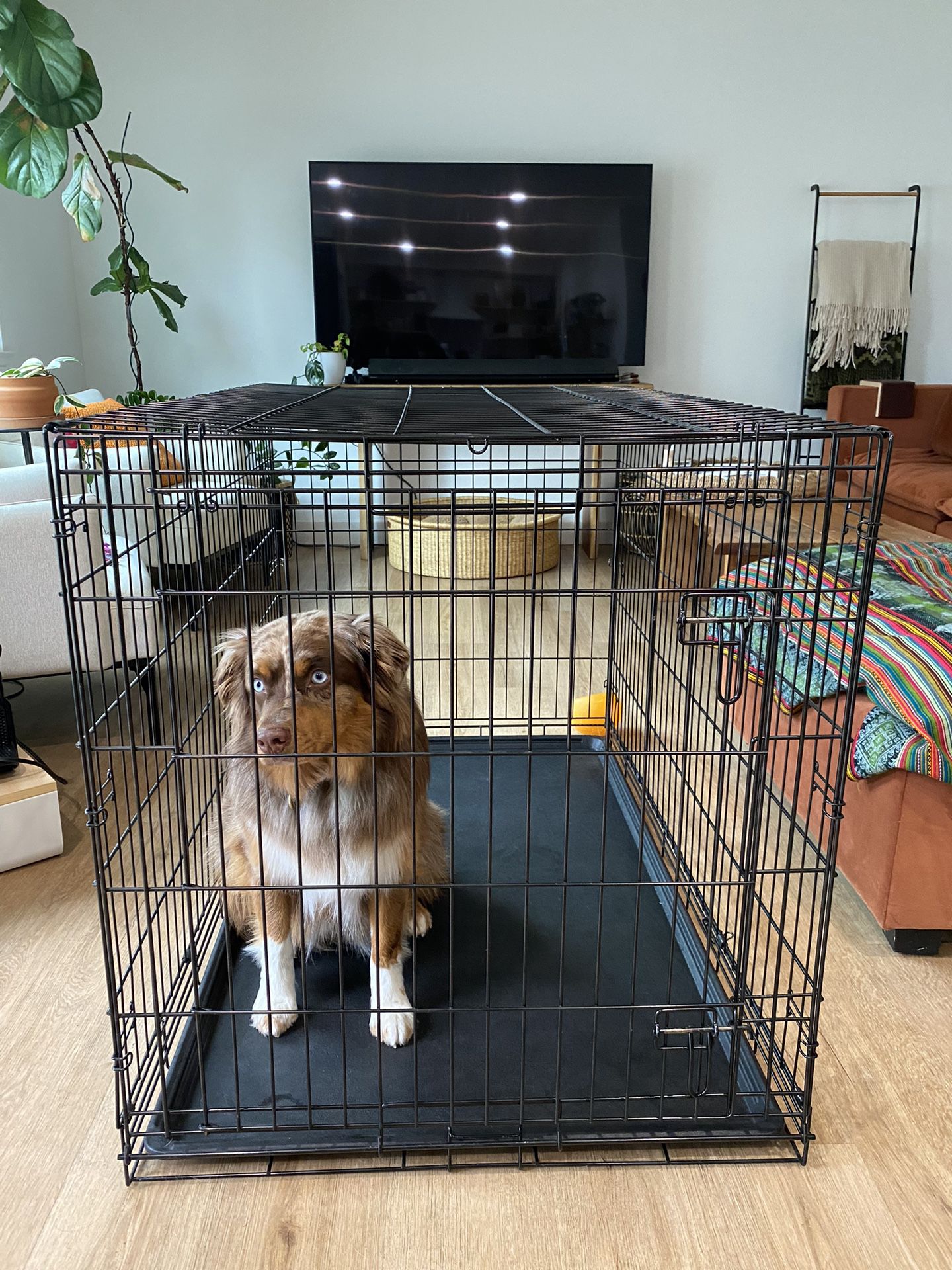 Extra Large Collapsible Dog Crate 