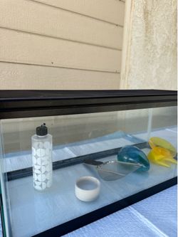 Hamster cage full set