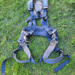 Harness