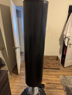 Punching bag and gloves