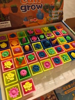 Novelty Cactus and Flower Growing Toy Set