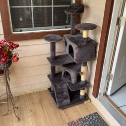 Cat House 