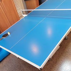 Outdoor / Indoor Ping Pong Table Tennis Table