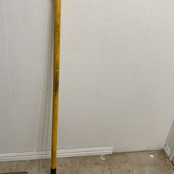 Extendable Paint Pole 