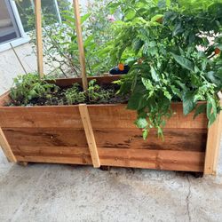 Garden beds